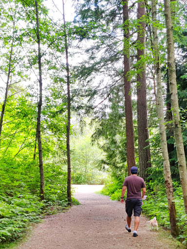 Park «Tambark Creek Park», reviews and photos, 17217 35th Ave SE, Bothell, WA 98012, USA