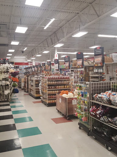 Craft Store «Michaels», reviews and photos, 1261 Niagara Falls Blvd, Amherst, NY 14226, USA