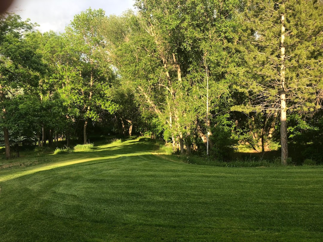 Organically Grown Lawn Service