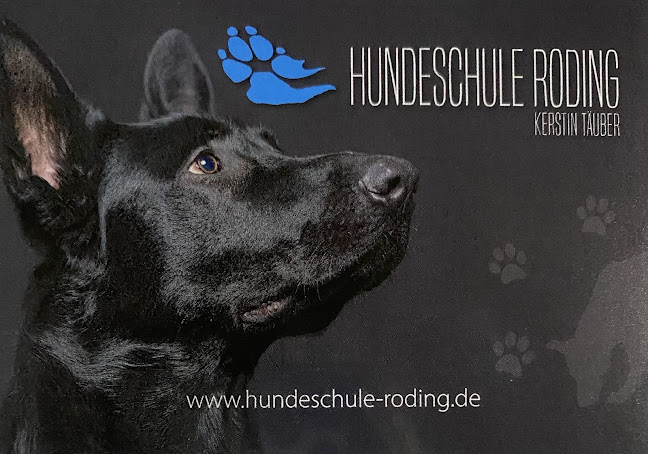 Hundeschule Roding - Cham