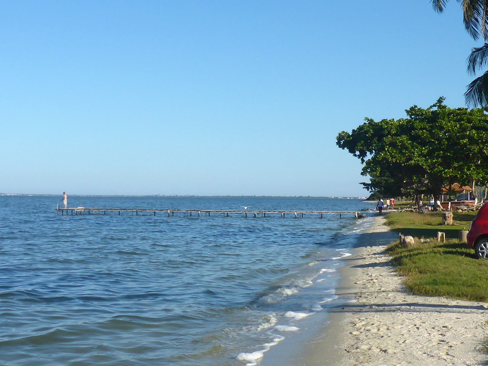 Iguabinha Beach'in fotoğrafı çok temiz temizlik seviyesi ile