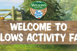 Willows Activity Farm image