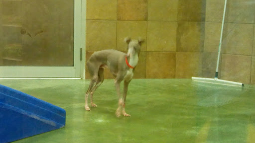 Pet Supply Store «PetSmart», reviews and photos, 5810 Antioch Rd, Merriam, KS 66202, USA