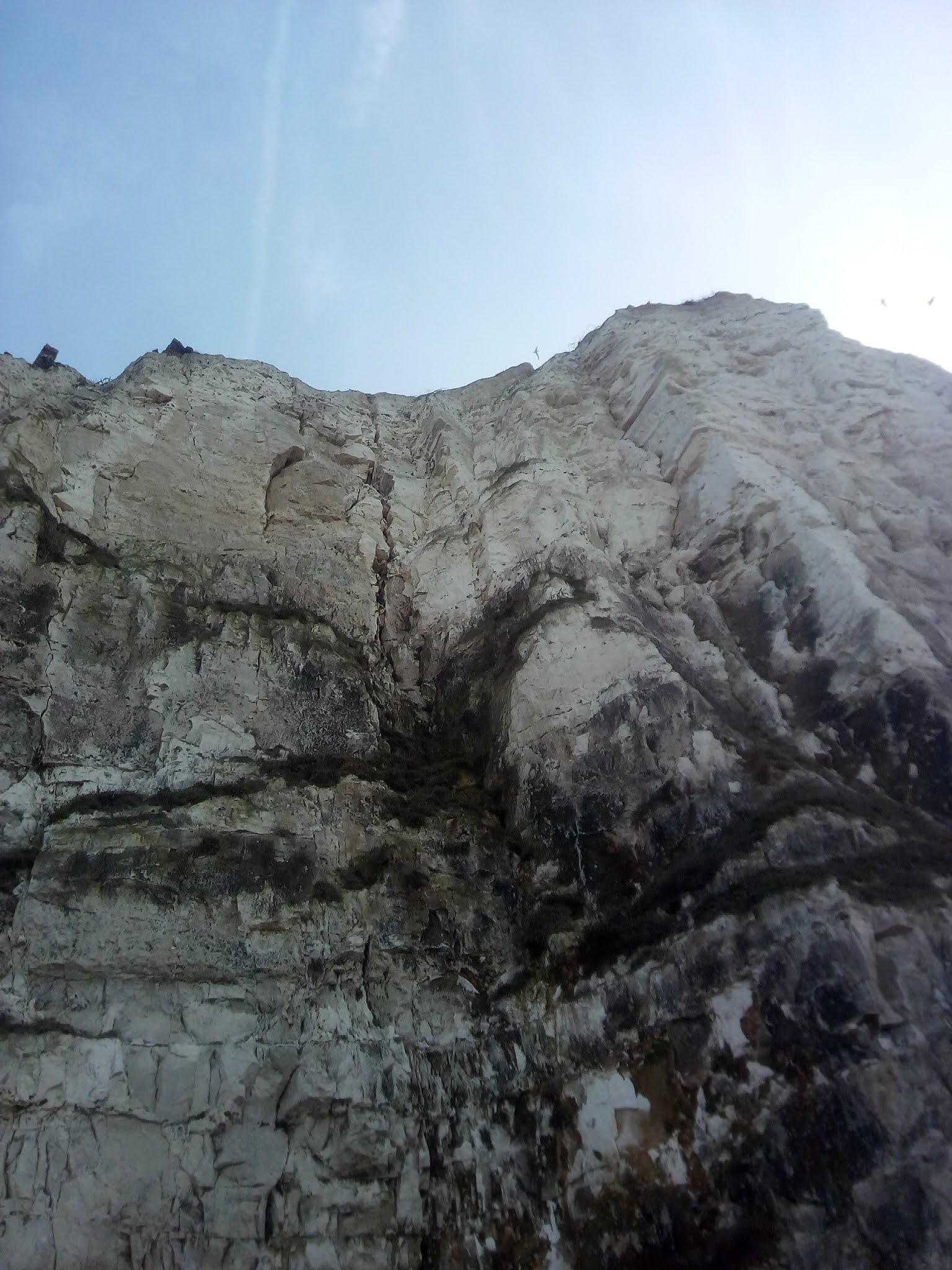Photo n° 1 de l'avis de Antonin.e fait le 20/03/2019 à 17:41