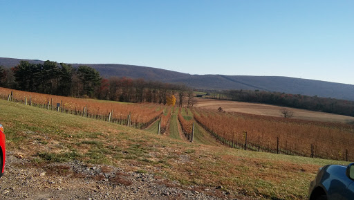 Winery «Galen Glen Winery», reviews and photos, 255 Winter Mountain Dr, Andreas, PA 18211, USA