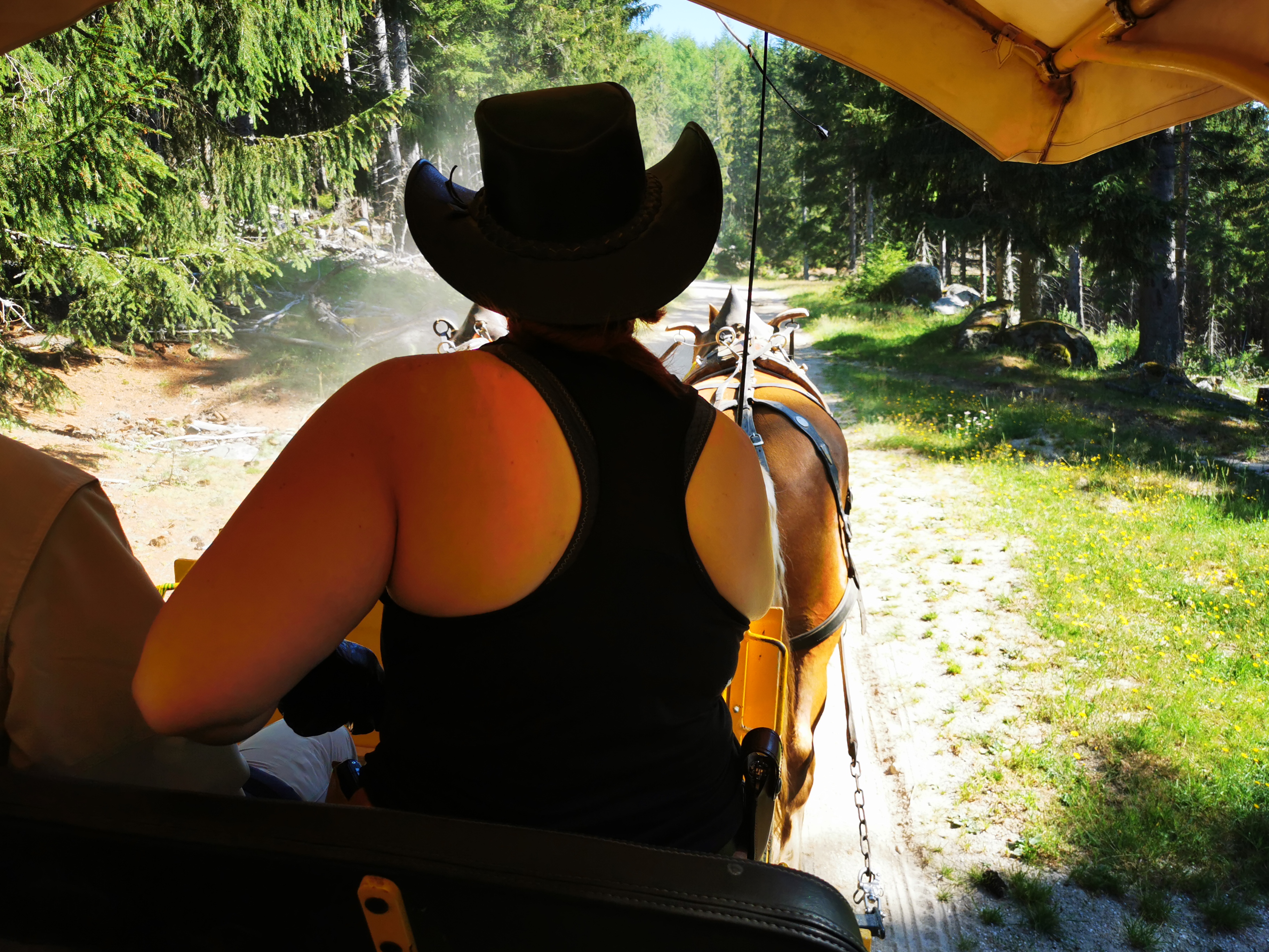 Photo n° 1 de l'avis de Léa.i fait le 02/08/2020 à 10:00