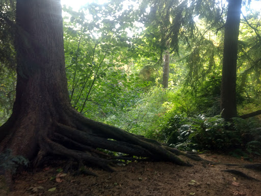 Park «Fauntleroy Park», reviews and photos, 3951 SW Barton St, Seattle, WA 98136, USA