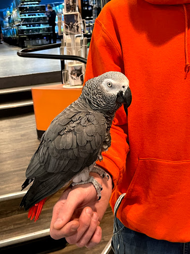 Pet Store «The Pet Works», reviews and photos, 407 4th Ave E, Olympia, WA 98501, USA