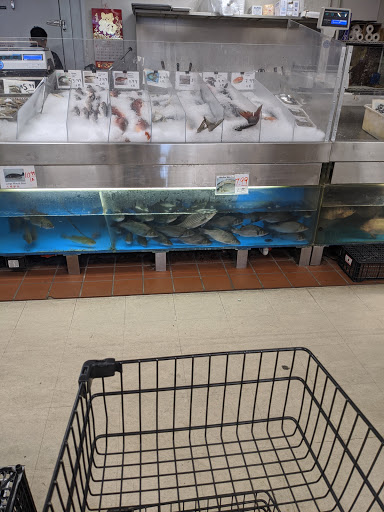 Grocery Store «Asia Mart», reviews and photos, 6103 E 86th St, Indianapolis, IN 46250, USA