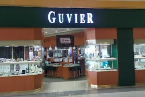 Guvier image