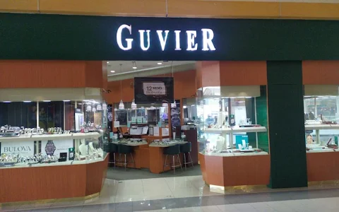Guvier image