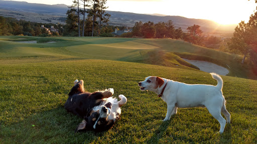 Golf Club «Castle Pines Golf Club», reviews and photos, 1000 Hummingbird Dr, Castle Rock, CO 80108, USA