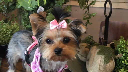 Gift Shop «The Warehouse Gift Shops», reviews and photos, 60 Chestnut St, Lockport, NY 14094, USA