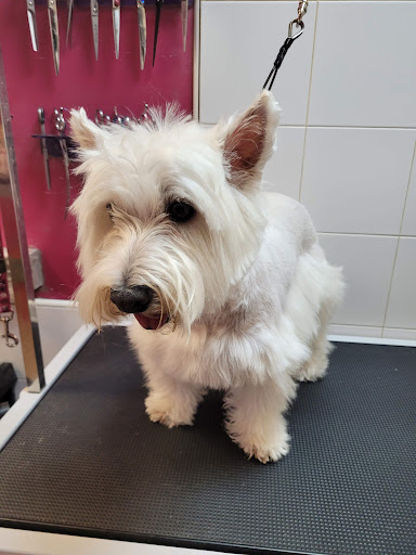 Husse Centro Veterinario en Cuarte de Huerva