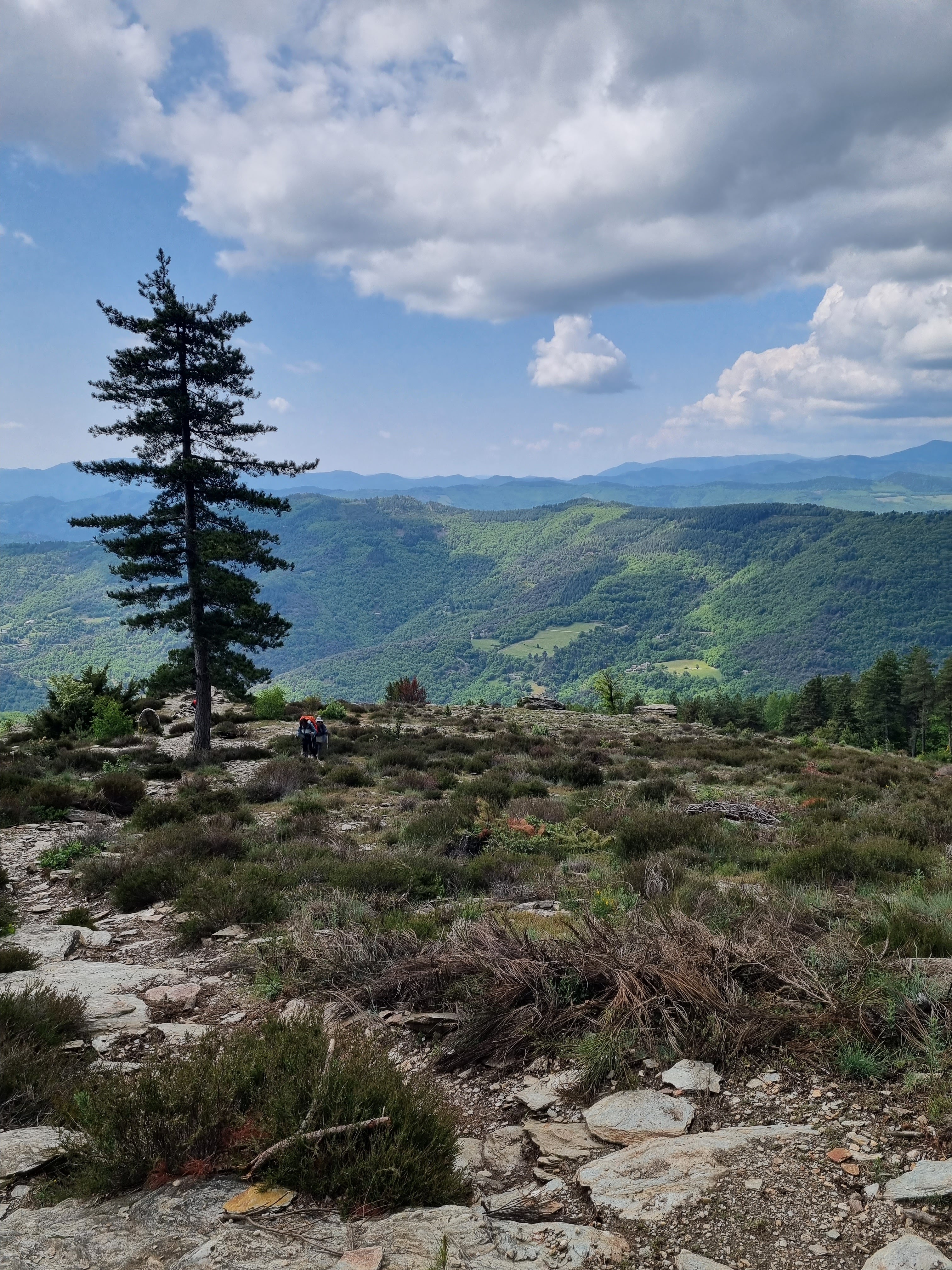 Photo n° 5 de l'avis de Bérangère.U fait le 26/05/2023 à 07:46