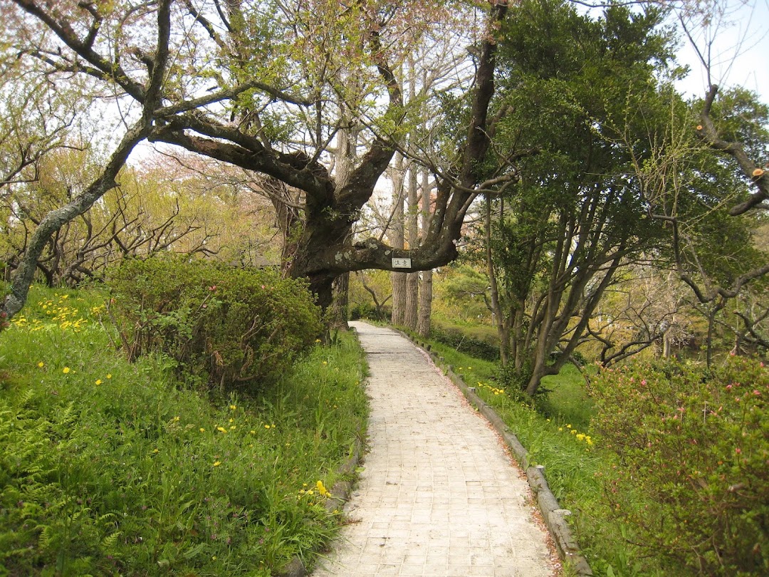 辻村植物公園 市内で小田原市