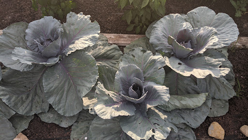 Winery «Staller Estate Winery», reviews and photos, W8896 County Rd A, Delavan, WI 53115, USA