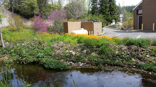 Sporting Goods Store «Mosquito Creek Outfitters», reviews and photos, 3000 Mosquito Rd, Placerville, CA 95667, USA