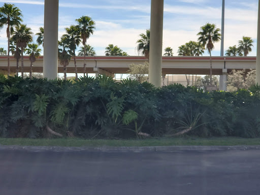 Tourist Information Center «Harlingen Travel Information Center», reviews and photos, 2021 W Harrison Ave, Harlingen, TX 78552, USA