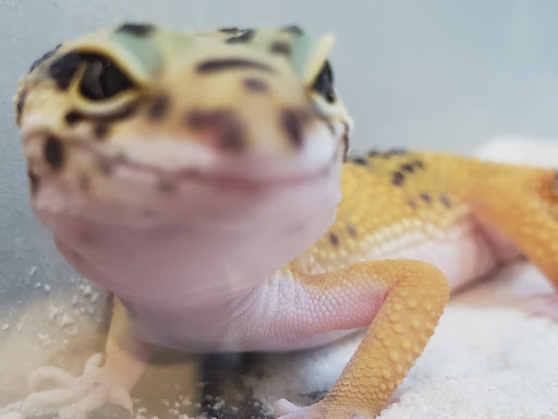 Pet Supply Store «Petco Animal Supplies», reviews and photos, 509 NJ-70, Brick, NJ 08723, USA