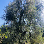 Photo n°12 de l'avis de Deborah.o fait le 01/03/2020 à 22:32 sur le  Hotel Palme Gemelle à Vieste