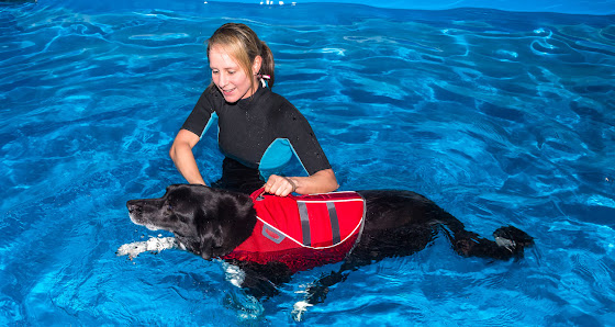 P4 Das Hunderevier, Sabrina Kemmner Hundephysiotherapie Stuttgarter Str. 45, 70794 Filderstadt, Deutschland