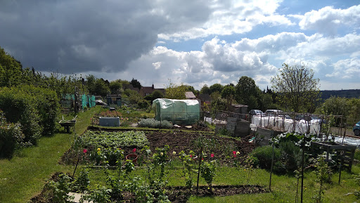 Stockingstone Road Allotments