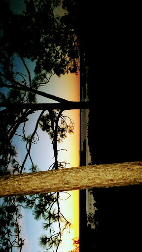 National Forest «Tuskegee National Forest», reviews and photos, 125 National Forest Rd 949, Tuskegee, AL 36083, USA