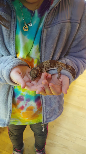 Pet Store «Critter Cabana», reviews and photos, 516 E 1st St, Newberg, OR 97132, USA