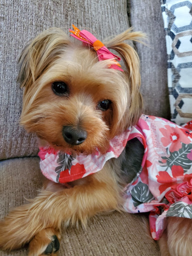 Pet Supply Store «PetSmart», reviews and photos, 467 Cross Keys Rd, Sicklerville, NJ 08081, USA