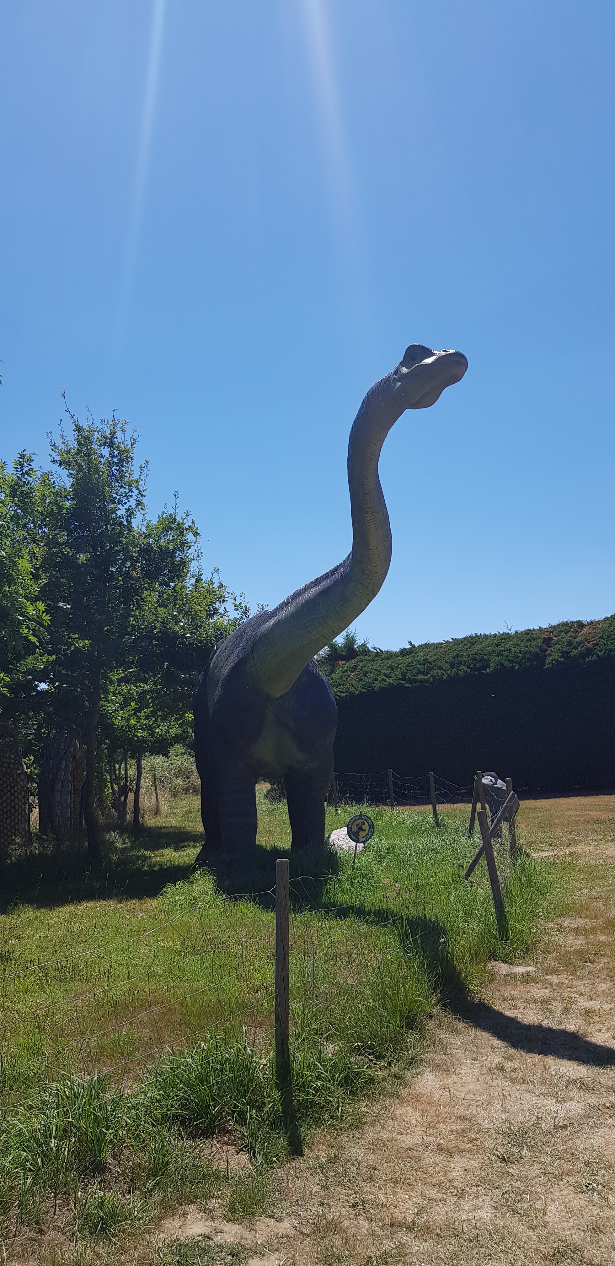 Photo n° 1 de l'avis de Sandrine.r fait le 20/07/2020 à 07:09