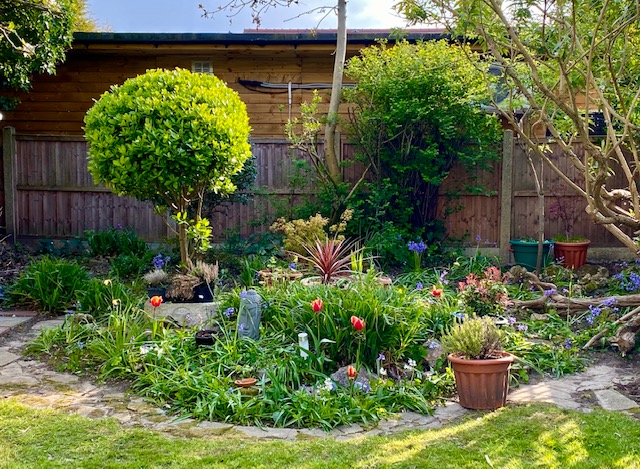 Reviews of Bloom Gardens London in London - Landscaper