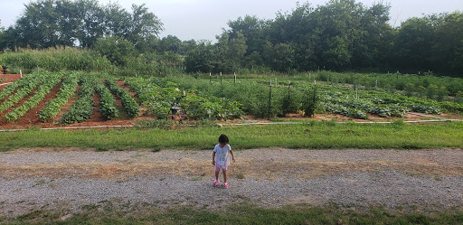 American Restaurant «Cracker Barrel Old Country Store», reviews and photos, 800 N Interstate Dr, Norman, OK 73072, USA