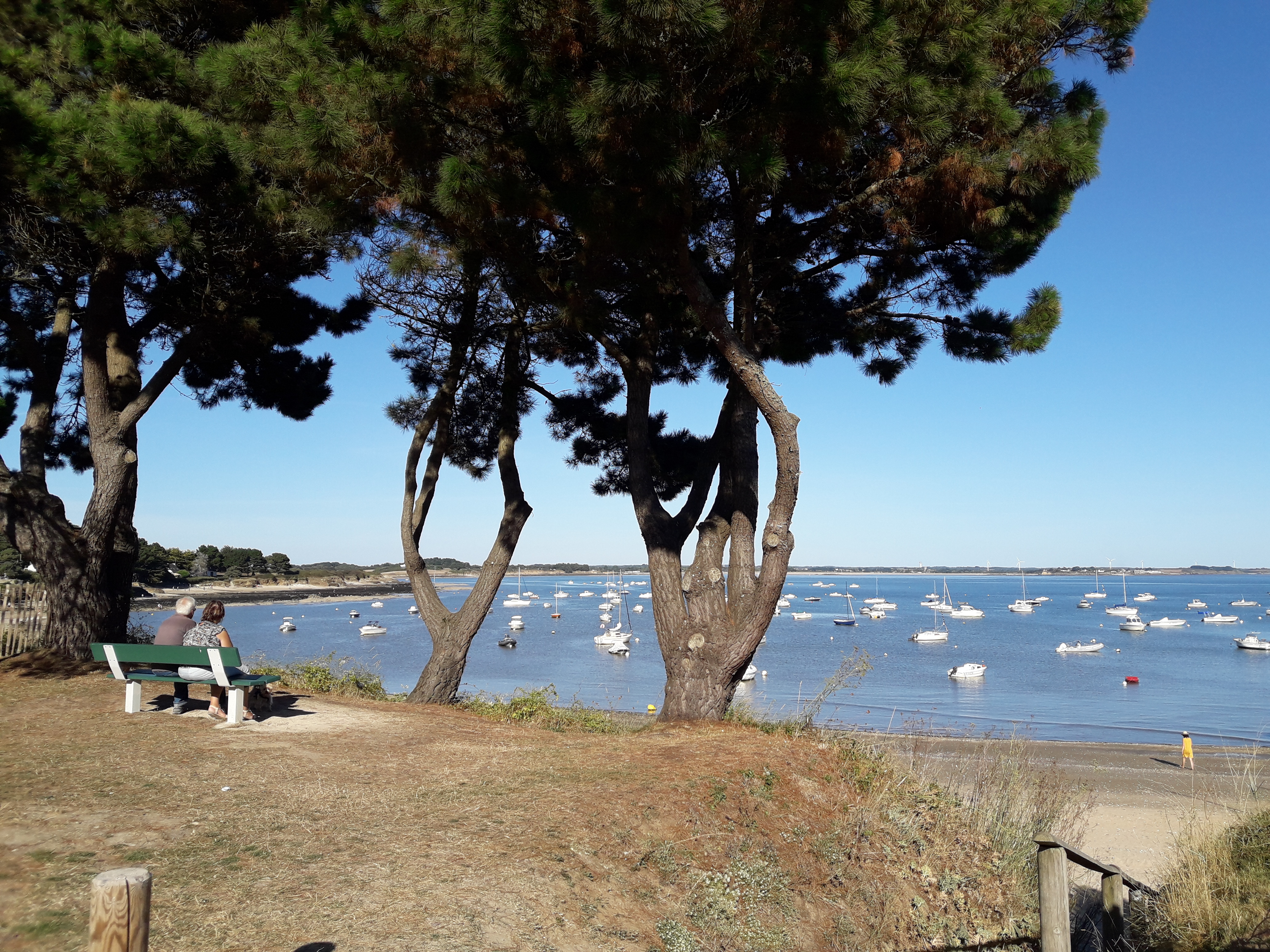 Photo n° 1 de l'avis de Fabienne.a fait le 01/10/2017 à 18:48