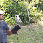 Photo n° 2 de l'avis de Céline.o fait le 18/08/2023 à 16:47 pour JURAFAUNE à Hauteroche