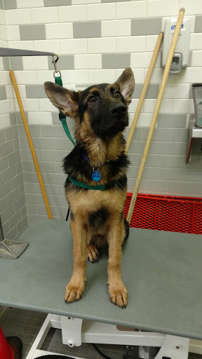 Pet Supply Store «Unleashed by Petco», reviews and photos, 12305 SW Horizon Blvd #23, Beaverton, OR 97007, USA