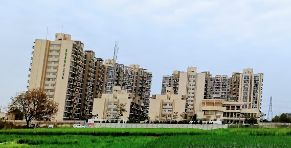 Google Maps image 17