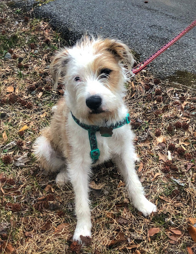 Park «Bringhurst Woods Park», reviews and photos, 5001 Washington Street Extension, Wilmington, DE 19809, USA