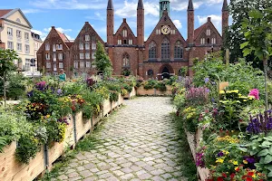 Lübecker Kulturgarten; Blumen, Gemüse, Obst und Kräuter im Hochbeet image