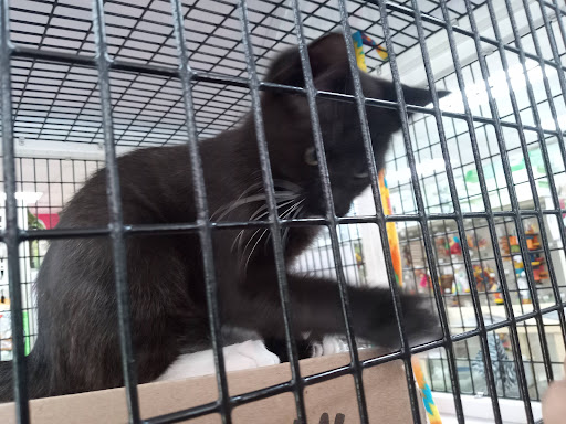 Pet Supply Store «Pet Supermarket», reviews and photos, 1040 Palm Coast Pkwy NW, Palm Coast, FL 32137, USA