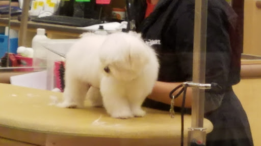 Pet Supply Store «PetSmart», reviews and photos, 637 Woodbury Glassboro Rd, Sewell, NJ 08080, USA