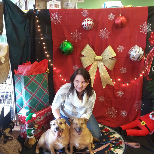 Pet Supply Store «Top Dogs Pet Boutique», reviews and photos, 2615 George Busbee Pkwy NW #14, Kennesaw, GA 30144, USA