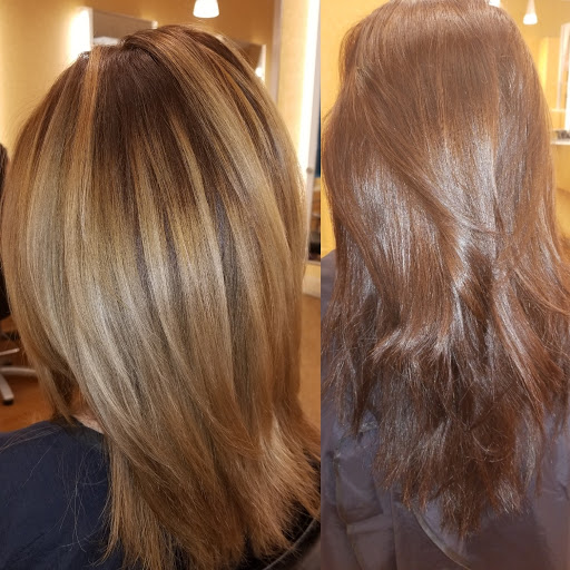 Hair Salon «Regis Salon», reviews and photos, 7818 Citrus Park Town Center Mall, Tampa, FL 33625, USA