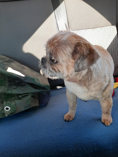 Pet Supply Store «PetSmart», reviews and photos, 777 S Willow St, Manchester, NH 03103, USA