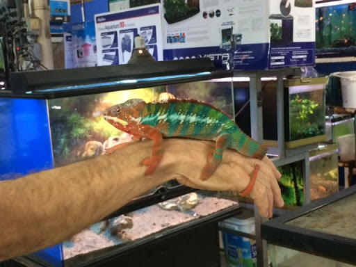 Pet Supply Store «Red Crest Pet Shop», reviews and photos, 319 N Main St, Boerne, TX 78006, USA