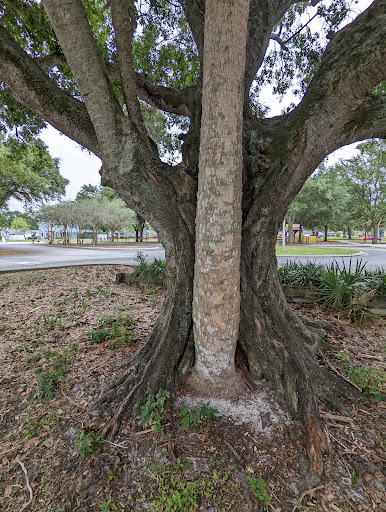Park «R E Olds Park», reviews and photos, 107 Shore Dr W, Oldsmar, FL 34677, USA
