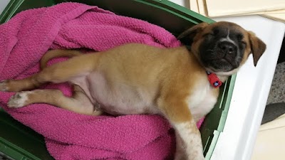 Photos of Dadeland Animal Hospital