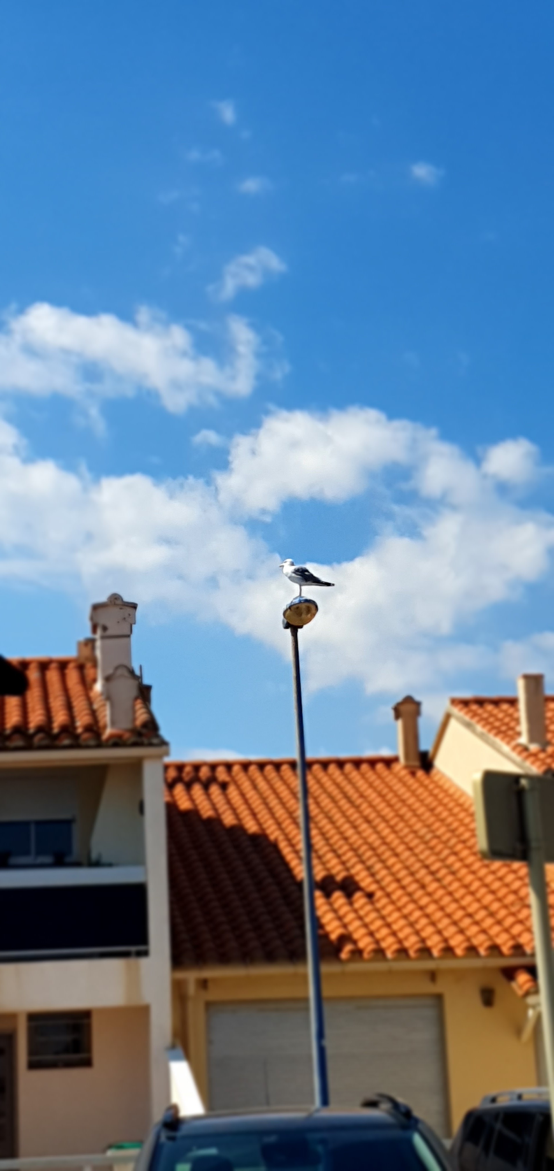 Photo n° 1 de l'avis de GLS.L fait le 11/08/2020 à 19:39