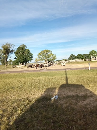 Asociación Rural de Tacuarembó