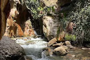 Assi river trail image